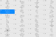 Procreate flower stamp, garden, a Brush Add-On by AnnaPolitmerskaja (Thumbnail 4 of 4)