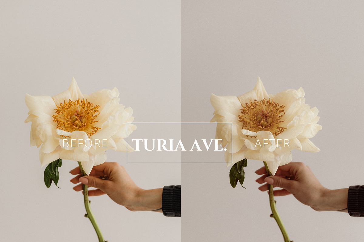 Buttery Soft Lightroom Preset, a Preset Add-On by Turia Avenue (Photo 6 of 13)
