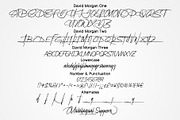 David Morgan | Stylish Signature, a Script Font by Lemonthe (Thumbnail 12 of 12)