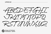 Nimbus Whale - Script Font, a Script Font by HanzelSpace Studio (Thumbnail 14 of 15)