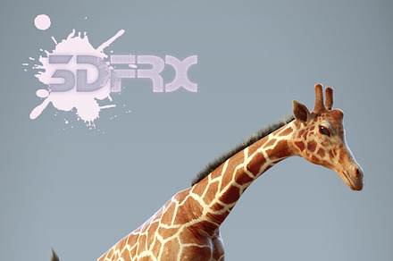 HD_GIRAFFE(Rigged&Posed), an Animal 3D Model by 3DFRX