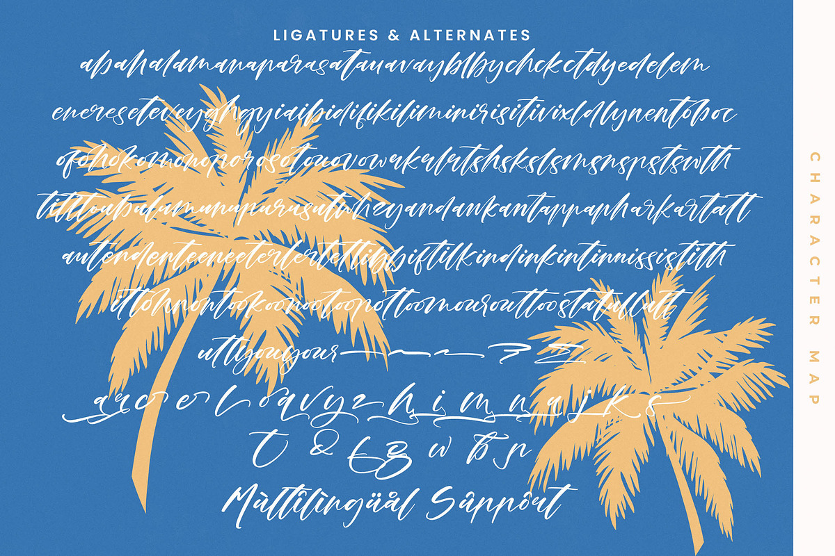Ankara Stream Modern Handbrush Font, a Script Font by stylishtype.co (Photo 19 of 20)
