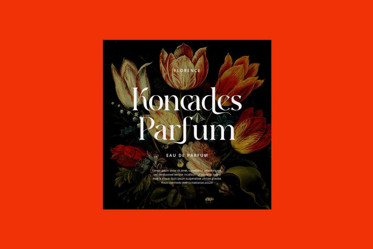 Agrabion - Elegant & Stylish Serif, a Serif Font by RockboyStd (Photo 7 of 12)
