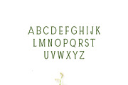 Darrion Slab Serif Font Family, a Slab Serif Font by Creativetacos (Thumbnail 2 of 4)