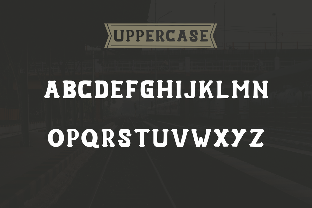 Artameva Vintage Font, a Serif Font by zerologicstudio (Photo 4 of 6)