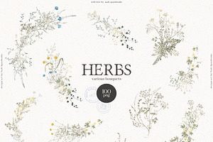 HERBS Botanica & Glitter Effect