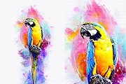 Pet Watercolor Art Plugin, an Action Add-On by MRI STUDIO (Thumbnail 7 of 15)