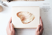 Hand Drawn Sfogliatella Dessert, a Food Illustration by Kolorata Art (Thumbnail 3 of 3)