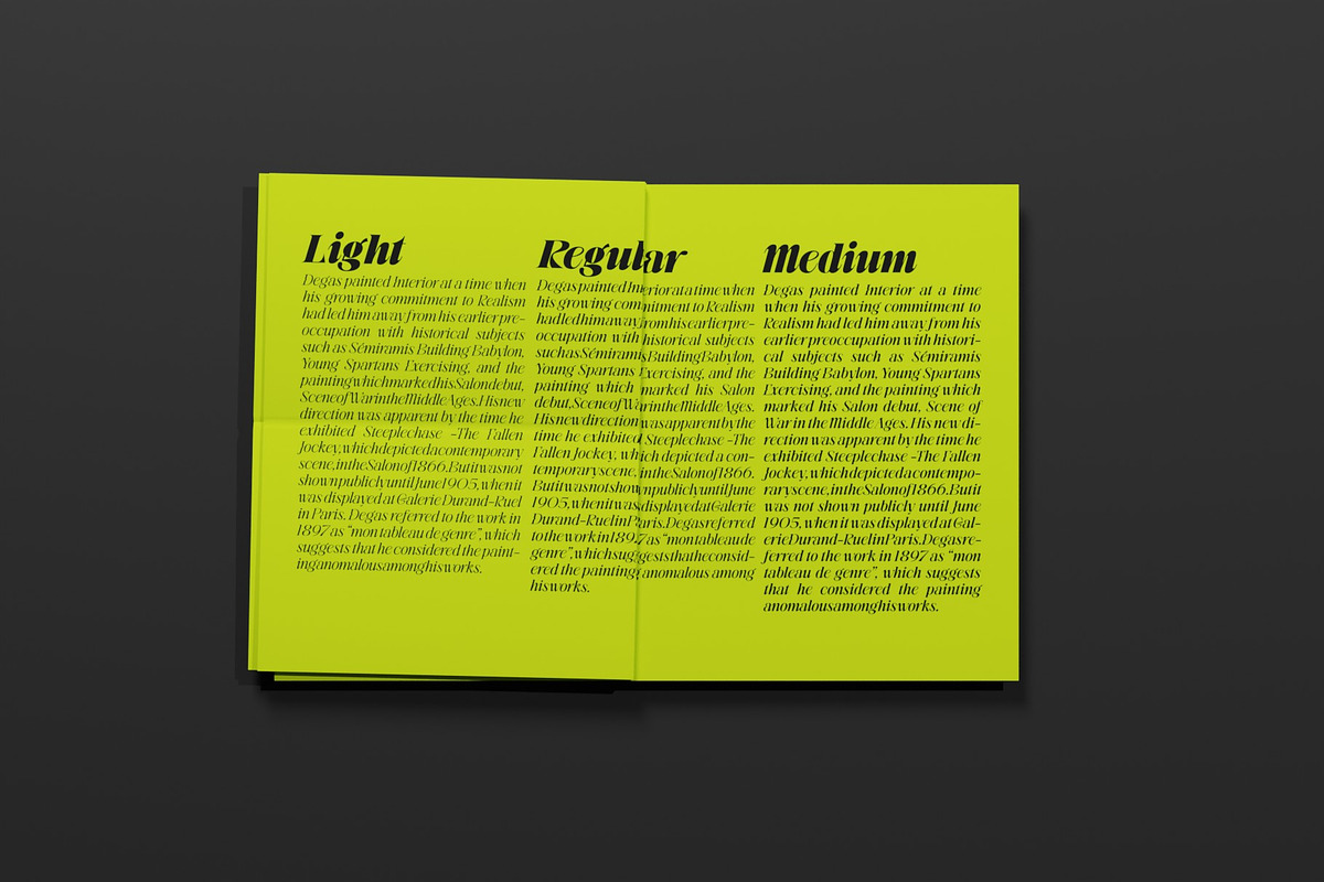 BeOkay Display Serif, a Serif Font by Ryul Davidson (Photo 15 of 17)