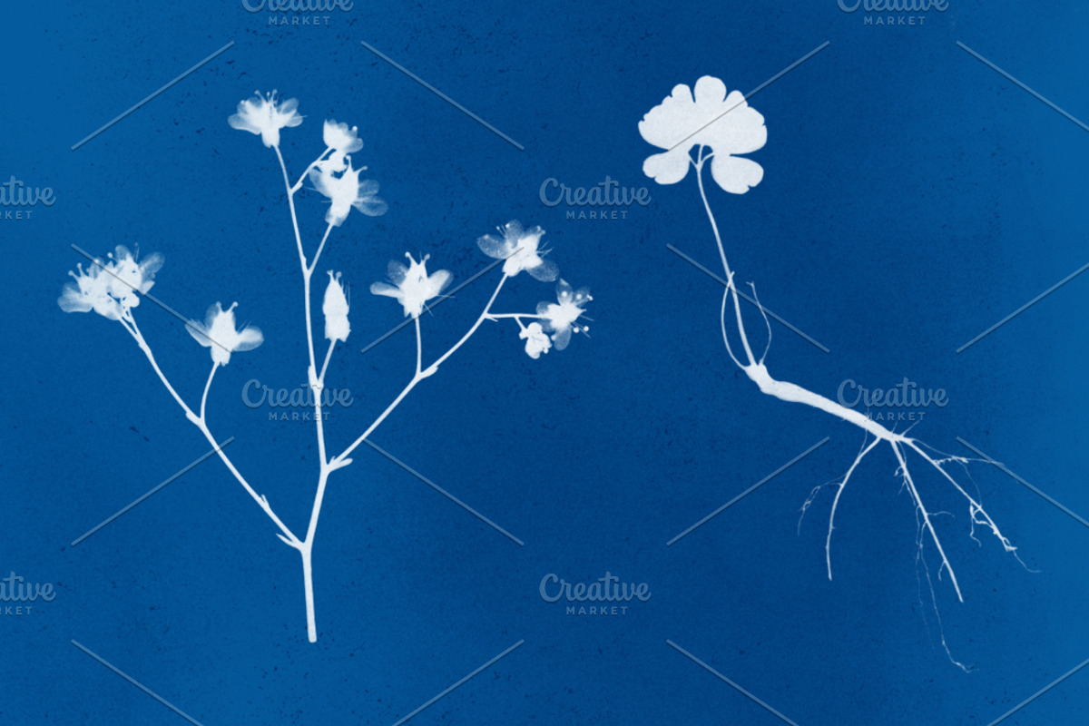 Flower Photoshop brushes, a Brush Add-On by Little Bean (Photo 3 of 8)