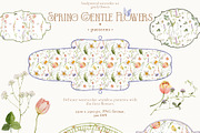 Watercolor Spring Gentle Flowers, a Decorative Illustration by Pamyatka Shop (Thumbnail 8 of 12)