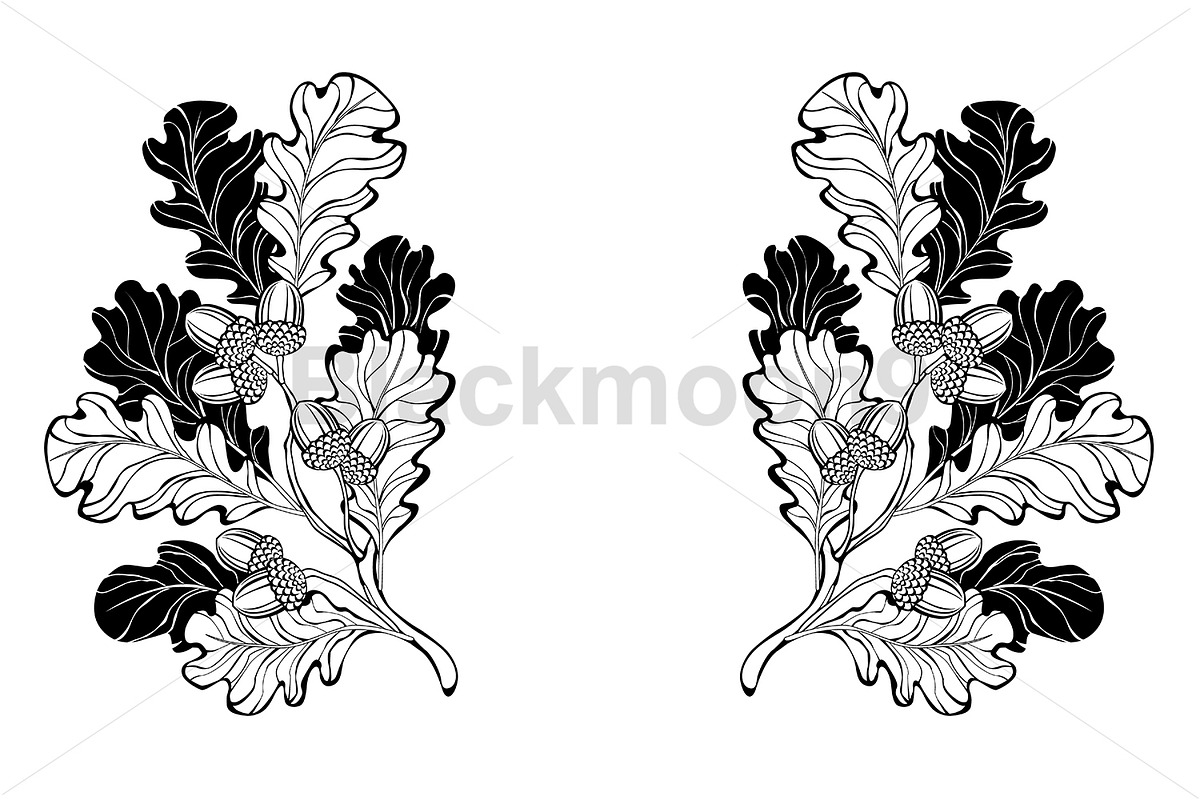 Contour oak branches, a Decorative Illustration by blackmoon9