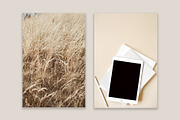 Lifestyle Bundles Collection 5, a Beauty & Fashion Photo by Floral Deco (Thumbnail 10 of 65)