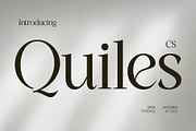 CS Quiles – Elegant Font, a Serif Font by Craft Supply Co. (Thumbnail 1 of 8)