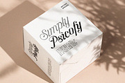 Hottest Springs Typeface, a Script Font by Letter Fresh (Thumbnail 5 of 12)
