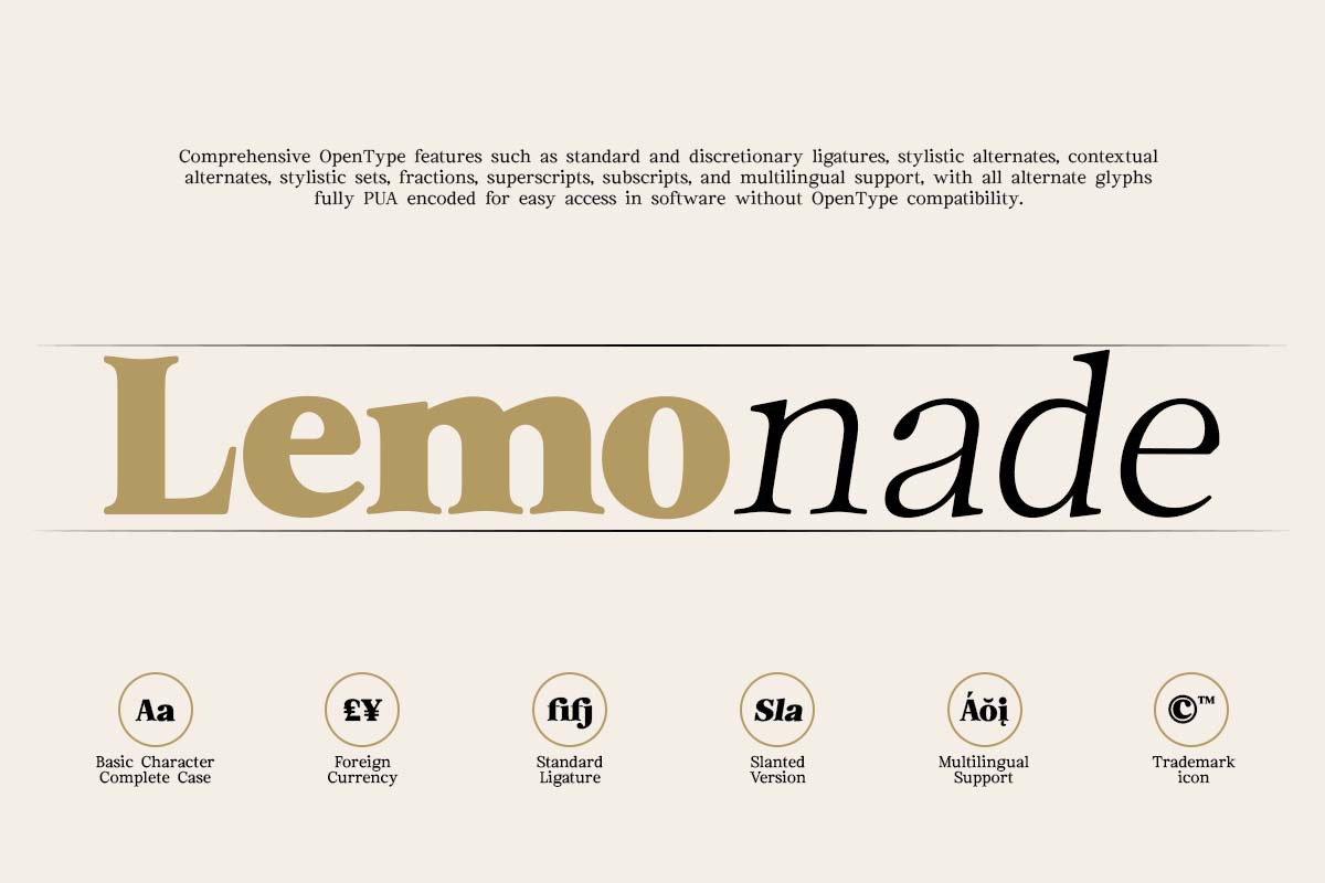 Euclid Serif | 180 Font Files, a Serif Font by Ws Studio (Photo 8 of 12)