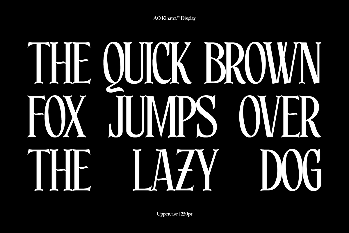 AO Kinawa - Elegant Display Serif, a Serif Font by OwunStudio (Photo 8 of 18)
