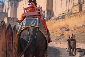 Amber fort, people on elephants. Jaipur. India, a Photo by Pictures for you!!!!!!!!!
