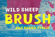 Wild Sheep, a Script Font by Stripes Studio (Thumbnail 6 of 7)