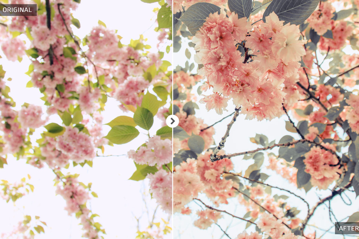 50 Spring Lightroom Presets preview 8
