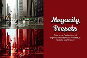 30 Megacity Lightroom Collection, a Preset Add-On by 3Motional (Thumbnail 5 of 11)