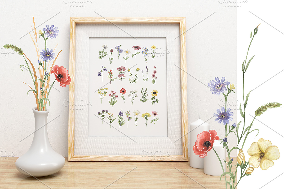 Watercolor Field Flowers Collection, a Decorative Illustration by MayaNavits (Photo 8 of 16)