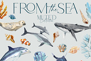 From The Sea Ocean Clipart, an Illustration by Twigs and Twine (Thumbnail 7 of 12)