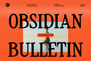 CS Brinley Drawn, a Serif Font by Craft Supply Co. (Thumbnail 7 of 8)