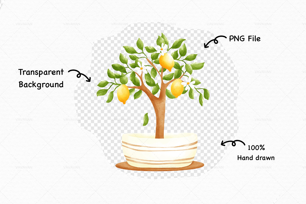 Lemon clipart, a Food Illustration by Vavavan Artwork (Photo 3 of 4)