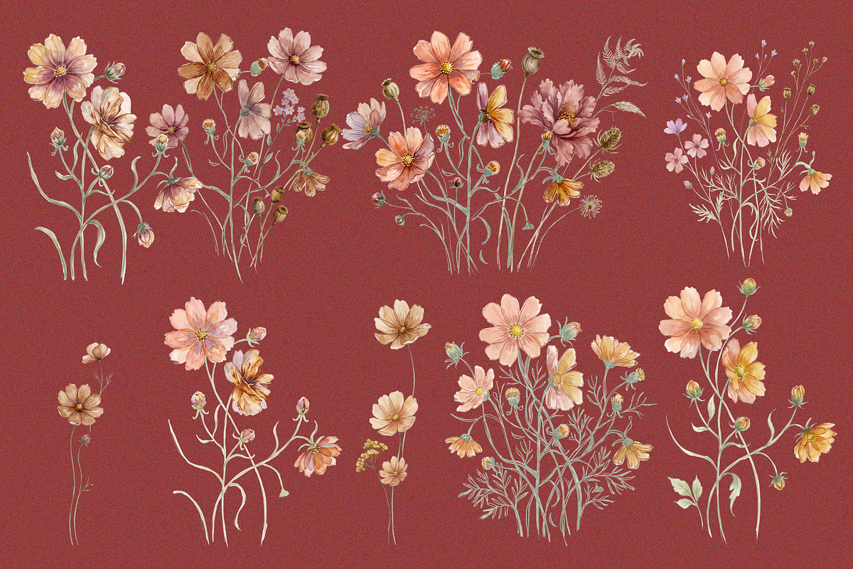 Peach Cosmos Wildflower Clipart Set, an Object Graphic by Digital Museum (Photo 7 of 8)