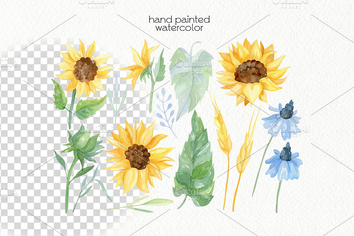 Watercolor Flowers Bundle, an Illustration by OllyKo Art (Photo 5 of 15)