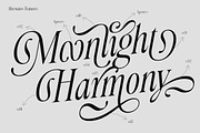 Morvella Stylish Serif, a Serif Font by Letterhend Studio (Thumbnail 8 of 12)