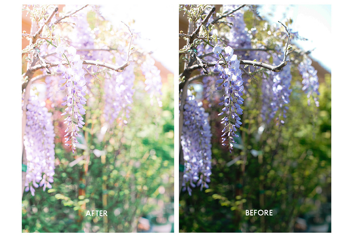 Rose & Blush Blogger Mobile Preset, an Action Add-On by Lux Light (Photo 9 of 13)