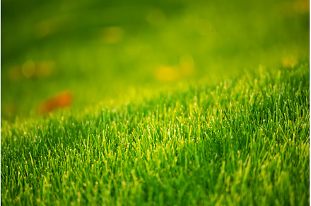 Natural abstract background, an Abstract Photo by Nature and travel