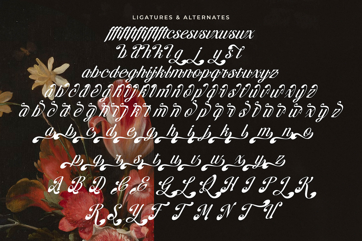 Brellight Elegant Script Font, a Script Font by timelesstype.co (Photo 19 of 20)