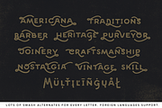 Desiderata, a Font by Tortugastudios (Thumbnail 3 of 8)
