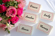 Bachelorette Squad - Wedding Script, a Script Font by Kaya Fonts (Thumbnail 5 of 25)