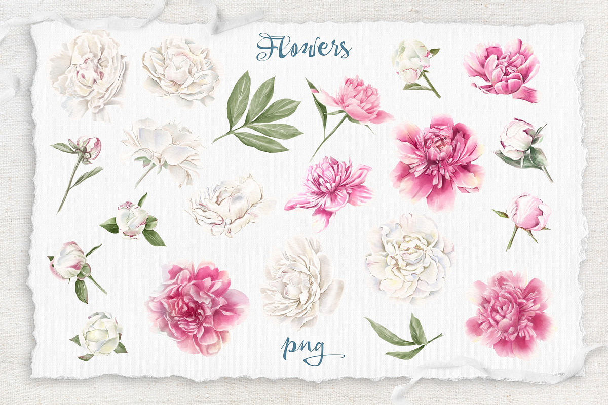 Watercolor flowers Peonies clipart, an Illustration by Yuliya Art (Photo 12 of 18)