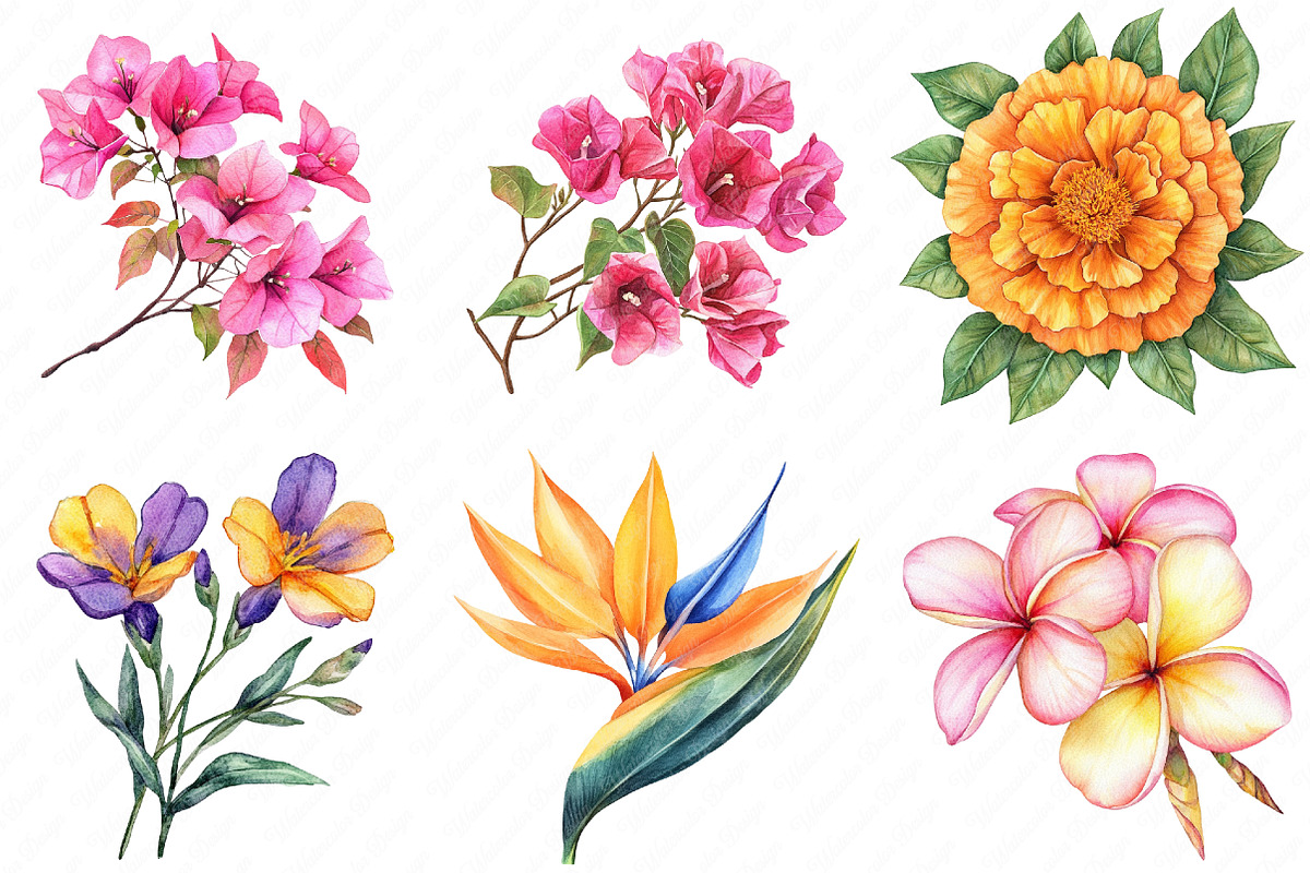 Bright Summer Flower Clipart, an Illustration by Watercolor design (Photo 3 of 11)