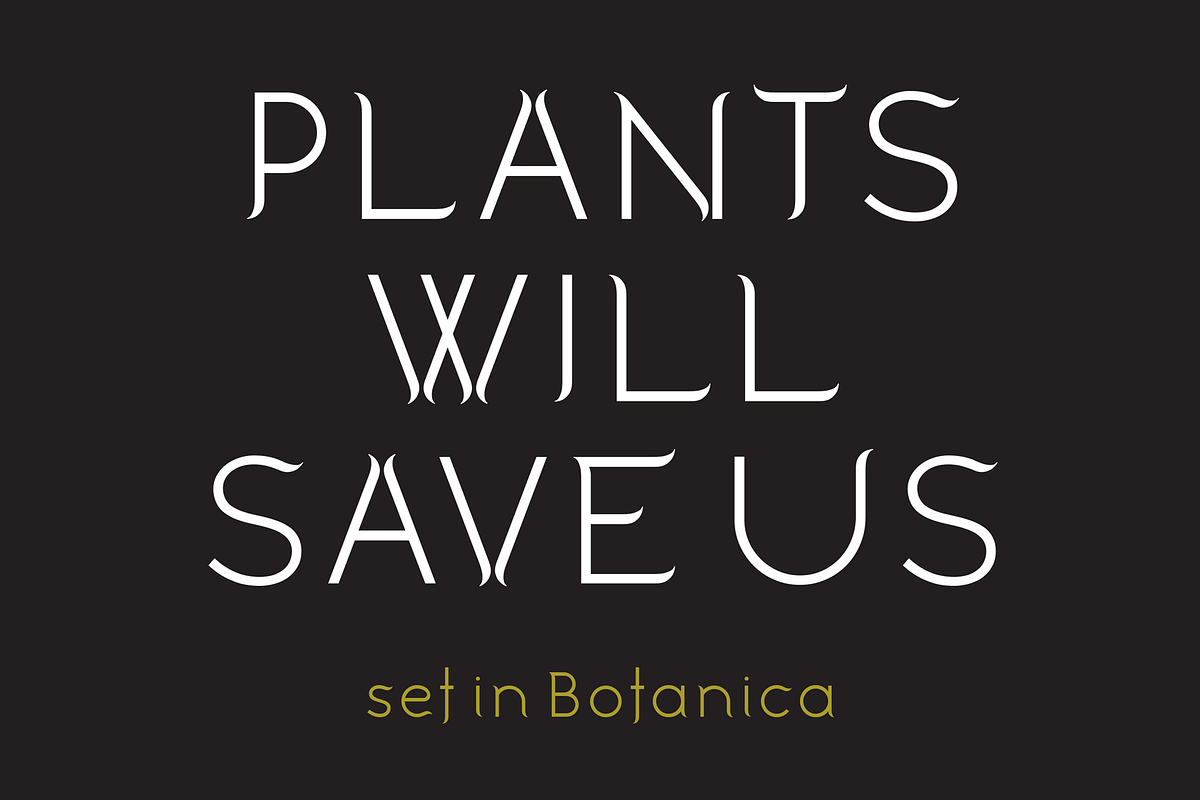 Botanica. Stylish modern and classic, a Sans Serif Font by LostandFoundry (Photo 2 of 6)