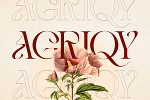 Vintage Agriqy - Modern Logo Serif, a Serif Font by Nirmana Visual