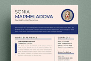 Resume Template Layout, a Resume Template by ContestDesign (Thumbnail 2 of 4)