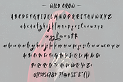 Wild Crow - Playful Handmade Font, a Script Font by Aldedesign (Thumbnail 8 of 9)