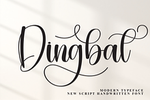Dingbat | Script Font