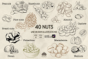 Nuts Line Art + Procreate, a Food Illustration by Skliarova (Thumbnail 1 of 3)