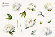 -30% Watercolor Peony Collection, an Object Illustration by bloomscape (Thumbnail 3 of 8)