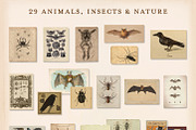 175 Vintage Halloween Ephemera, an Object Graphic by The Object Atlas (Thumbnail 10 of 13)