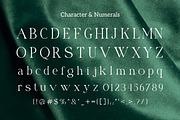 Benedra – Modern Serif Typeface, a Serif Font by Vadovastd (Thumbnail 7 of 7)