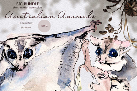 Australian animals. set 1