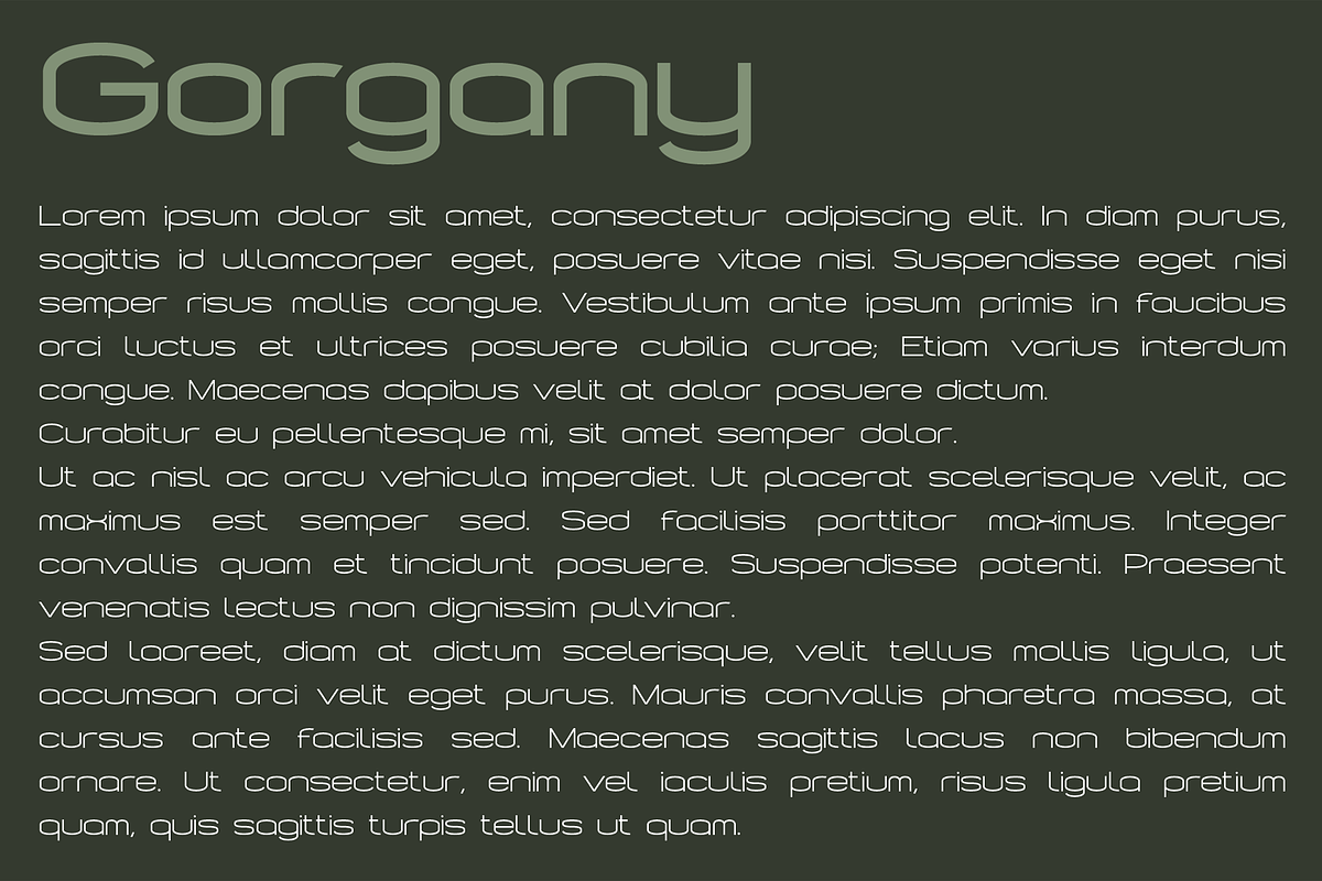 Gorgany font family, a Sans Serif Font by vlad.berla (Photo 7 of 8)